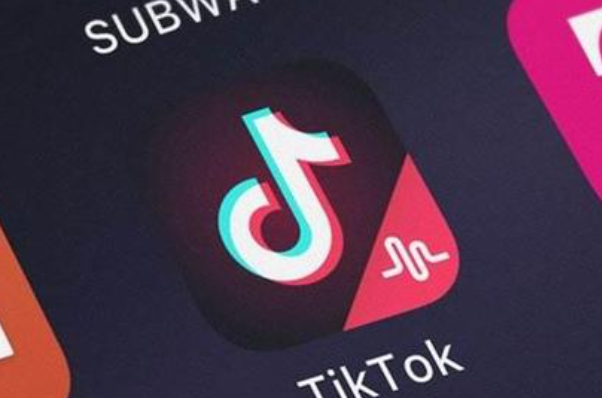 TikTokĿǰƽ̨ϵĲûһԸƵ