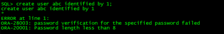 oracle 11g ÿӶ