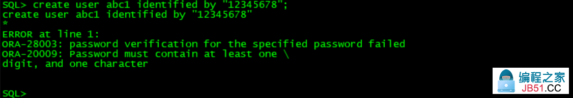 oracle 11g ÿӶ