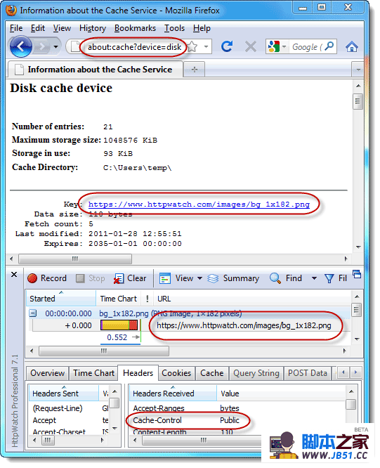 HTTPS߸